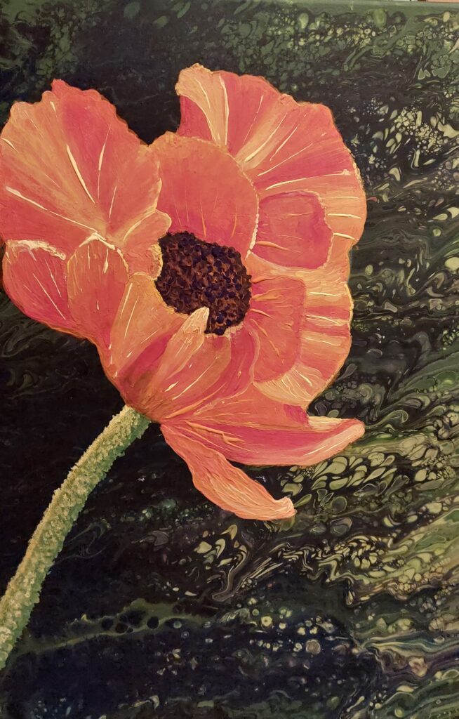 eine große Mohnblume