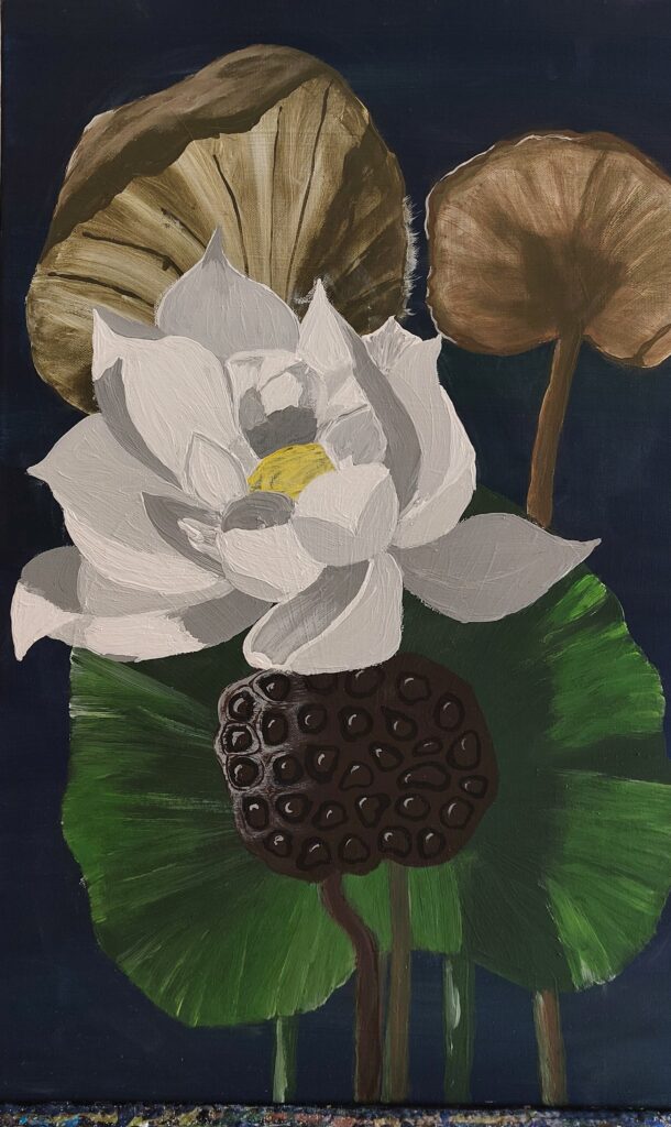 weiße Seerose auf einem großen Blatt mit einer trockenen Samenkapsel