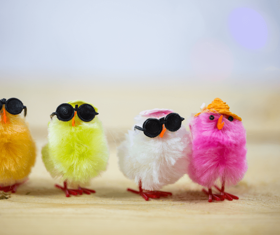 einige bunte Küken aus Wollfuzzeln, drei tragen einen Sonnenbrille, eines ein Hütchen