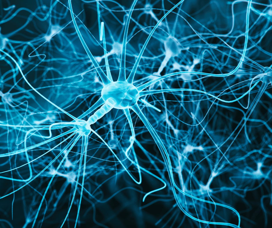ein neuronales Netzwerk